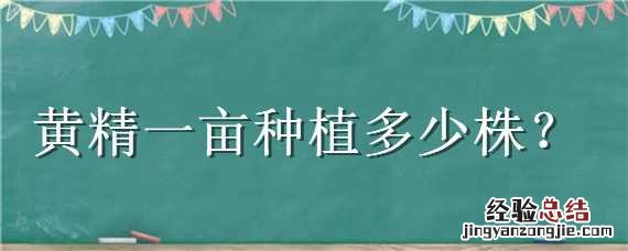 黄精一亩栽多少株 黄精一亩种植多少株