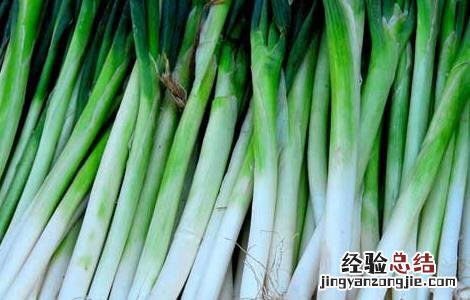大葱的功效与作用吃法 大葱的功效与作用及食用方法