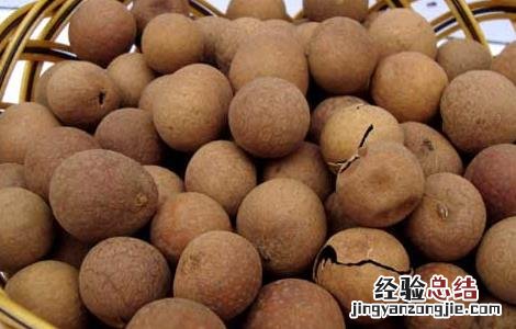 桂圆的功效与作用及食用方法 猪肚炖桂圆的功效与作用及食用方法