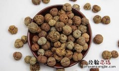 草豆蔻的营养价值