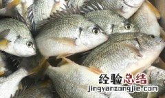黄翅鱼的功效作用与禁忌 黄翅鱼的功效作用与禁忌简单介绍