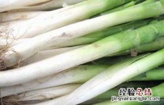 大葱的营养价值 大葱的营养价值高吗