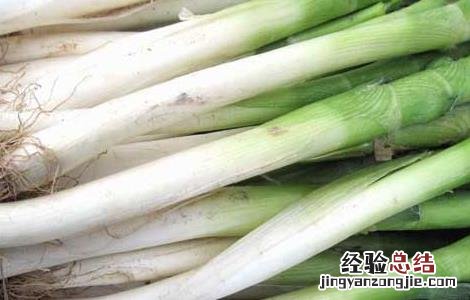大葱的营养价值 大葱的营养价值高吗