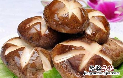 香菇的营养价值 新鲜香菇的营养价值