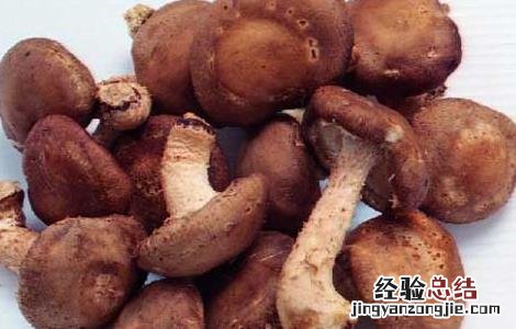 香菇的营养价值 新鲜香菇的营养价值