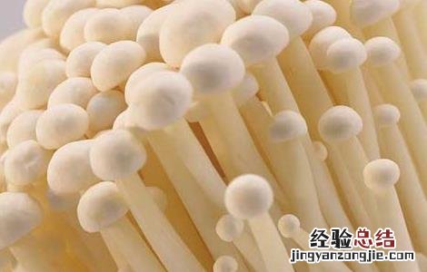 金针菇的营养价值 金针菇的营养价值和栽培方法