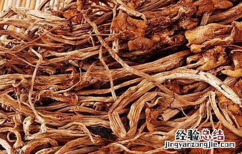 茶树菇的营养价值 茶树菇的营养价值是什么