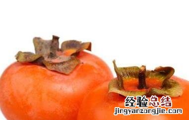 吃柿子不能吃什么 吃柿子不能吃什么东西会中毒