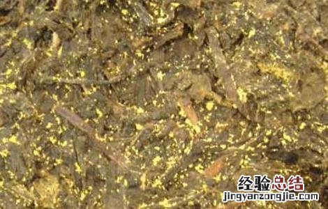 黑茶真的能减肥吗知乎 黑茶真的能减肥吗