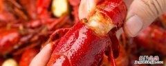 小龙虾肉质松散是什么原因 怎么改善 小龙虾肉质松散是什么原因