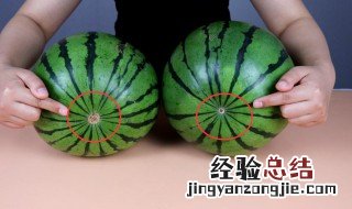 富硒西瓜和普通西瓜区别 富硒西瓜和普通西瓜区别是什么呢