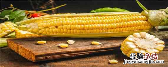玉米大豆套种技术 玉米大豆套种技术方法