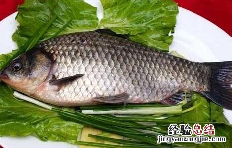 鲫鱼的营养价值 鲫鱼的营养价值及功效与作用禁忌