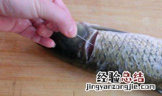 鱼线怎么取 鱼腥线是什么