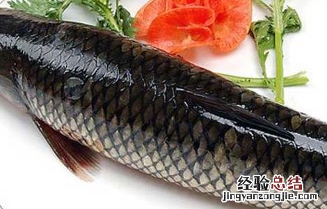 草鱼的营养价值及禁忌 草鱼的营养价值