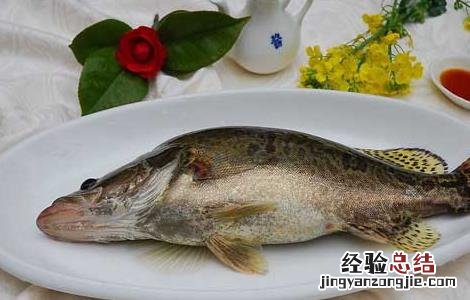 鲈鱼与桂鱼的营养价值 桂鱼的营养价值