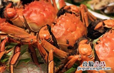螃蟹的营养价值 螃蟹的营养价值及功效
