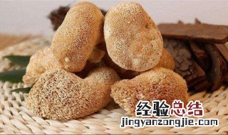 泡发好的猴头菇煮多久能熟 猴头菇煮多久能熟