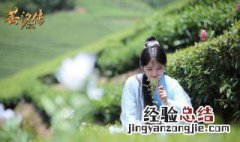 芸汐传什么时候开播的 芸汐传剧情简介