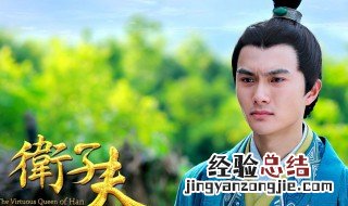 卫子夫电视剧演员表 快来看具体的演员都有谁