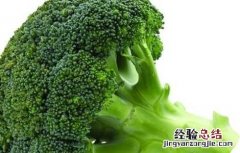 西兰花的营养价值 西兰花的营养价值与功效
