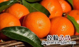 皇帝柑吃了会加重湿气吗