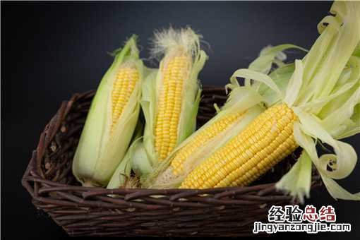 地膜早糯玉米种植时间是什么时候 地膜早糯玉米种植时间玉米种植环境要求