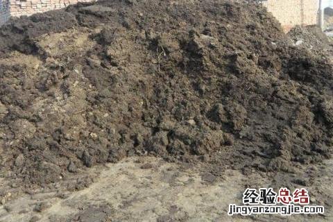鸡粪有机肥怎么使用 有机肥怎么使用