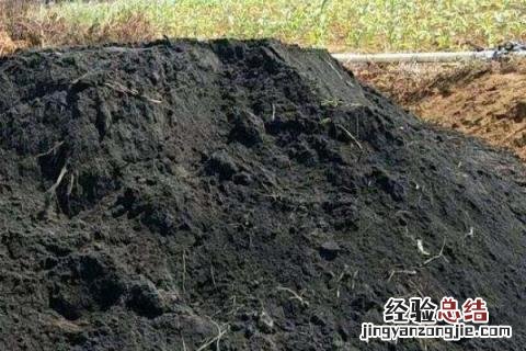 鸡粪有机肥怎么使用 有机肥怎么使用