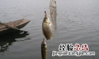 鲫鱼钓位口诀 这些口诀钓鱼达人可要熟知了