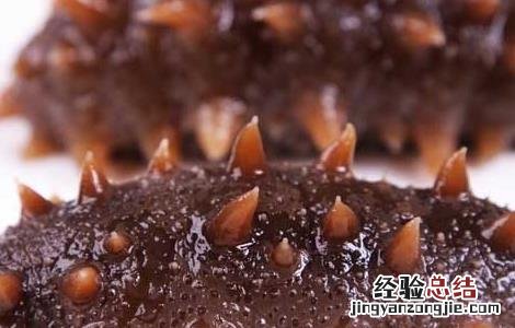 海参的营养价值有哪些 海参的营养价值