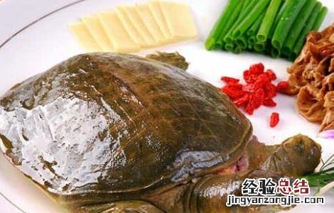 鳝鱼炖甲鱼的营养价值 甲鱼的营养价值
