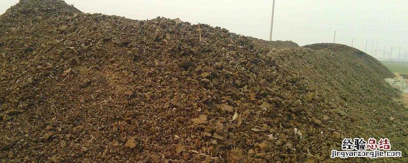 有机肥可以撒在表面吗 有机肥能直接撒在地面吗