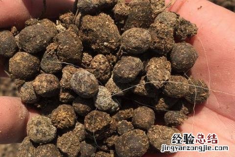 有机肥和复合肥的区别 有机肥和复合肥的区别哪个好