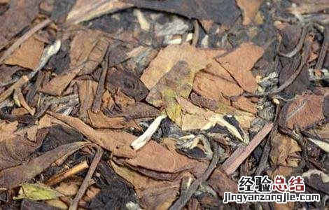 老白茶的冲泡方法有哪些 老白茶的冲泡方法