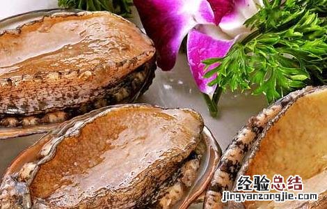 鲍鱼的营养价值 鲍鱼的营养价值和功效和禁忌