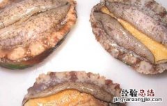 鲍鱼的营养价值 鲍鱼的营养价值和功效和禁忌