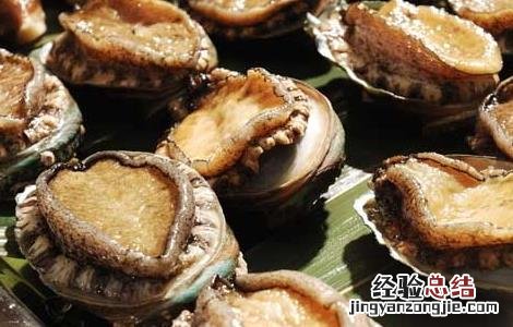 鲍鱼的营养价值 鲍鱼的营养价值和功效和禁忌