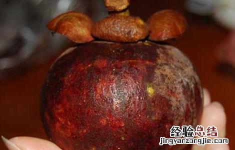 山竹的营养价值 山竹的营养价值与功效和药用