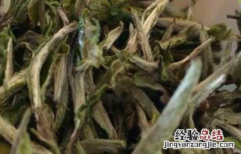 白茶一般能泡几次 白茶一般泡几次最好