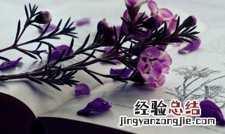 光明磊落成语解释 光明磊落词语解释