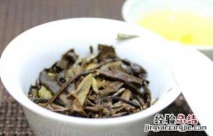 福鼎白茶怎么冲泡? 福鼎白茶怎么冲泡好