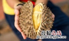 榴莲怎么才熟 判断榴莲成熟的方法