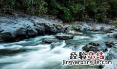 求二石兽于水中竟不可得的意思 求二石兽于水中竟不可得出自何处