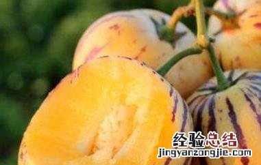 吃人参果的好处和禁忌事项 吃人参果的好处和禁忌事项有哪些