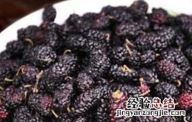 桑葚能多吃吗 桑葚能多吃吗孕妇