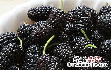 桑葚能多吃吗 桑葚能多吃吗孕妇