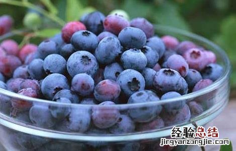 蓝莓的功效与作用及禁忌 蓝莓的功效与作用及禁忌症