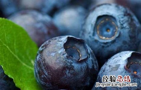 蓝莓的功效与作用及禁忌 蓝莓的功效与作用及禁忌症