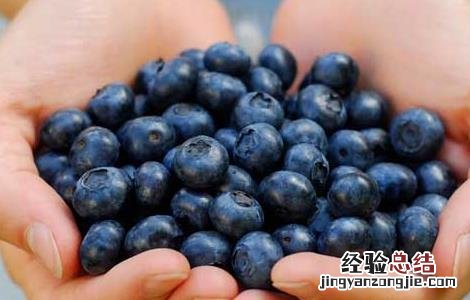 蓝莓的功效与作用及禁忌 蓝莓的功效与作用及禁忌症